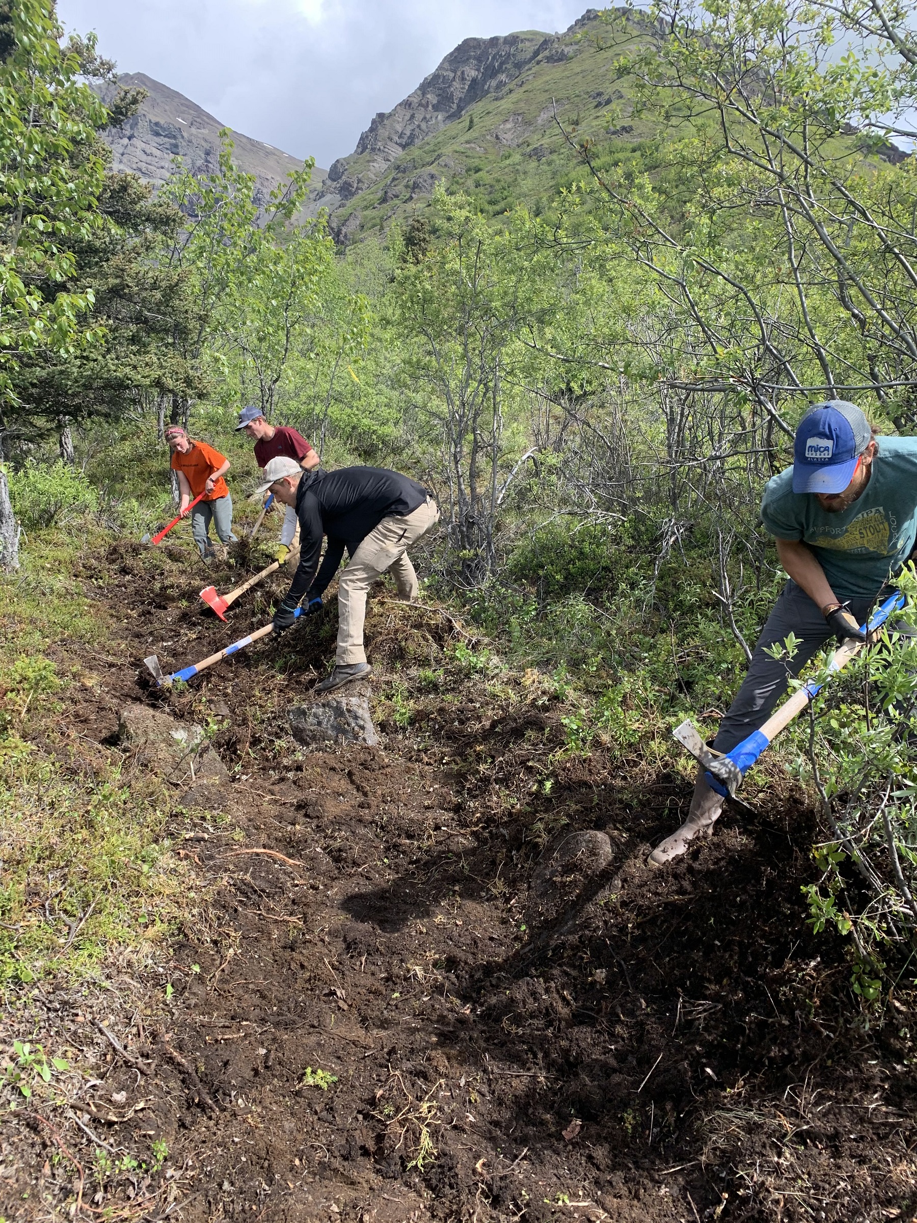 people using axes to do trail work in Alaska