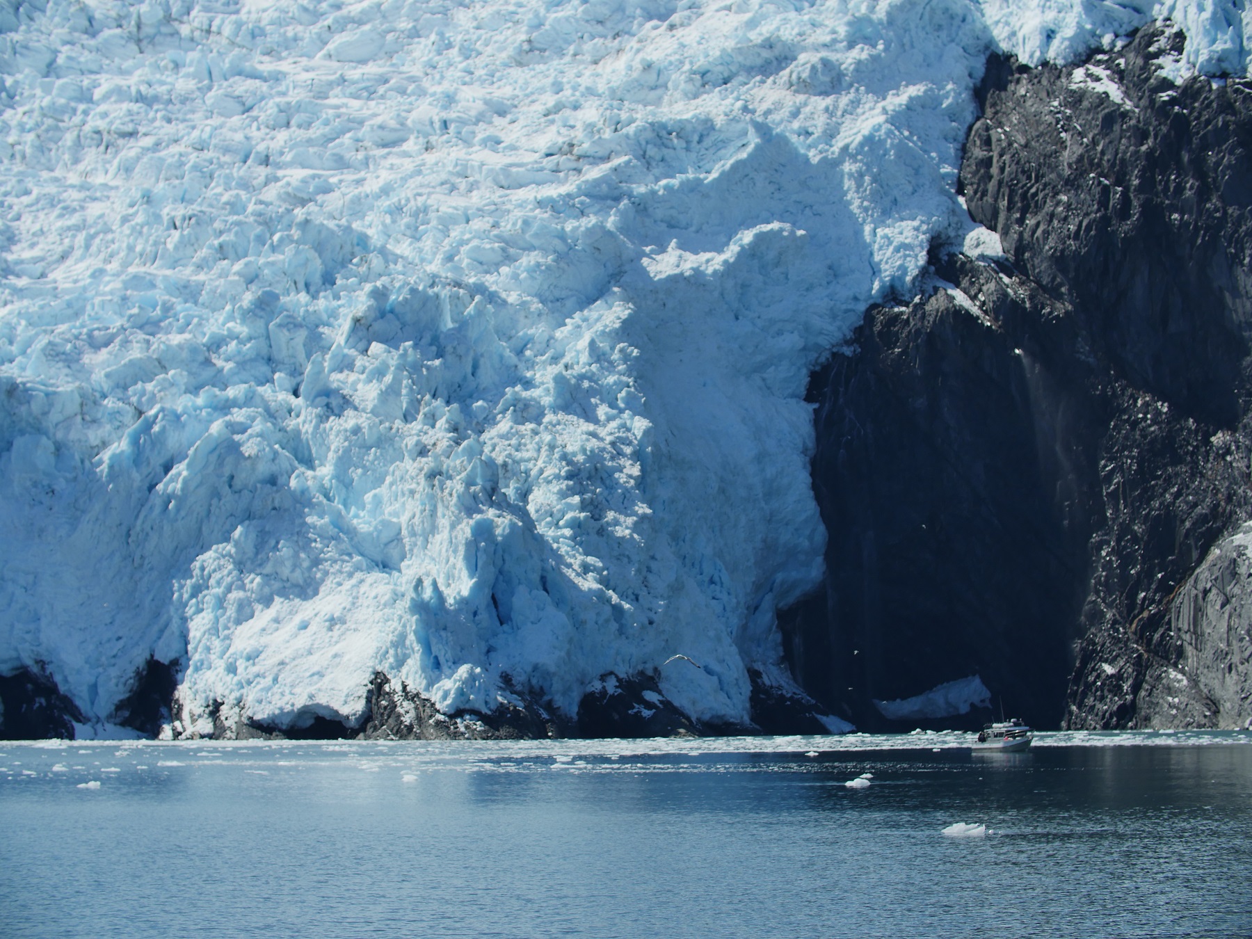 open ocean water near a tidal glacier