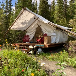 glamping tent in a garden