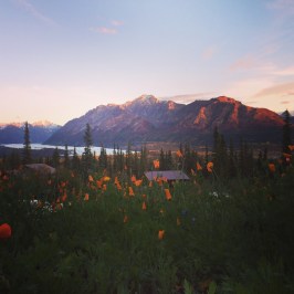 Alpenglow on mountains