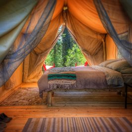 Glamping Tent in Alaska