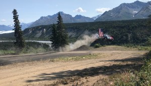 a tree with a mountain in the background