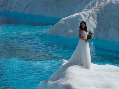 a polar bear swimming in a pool of water